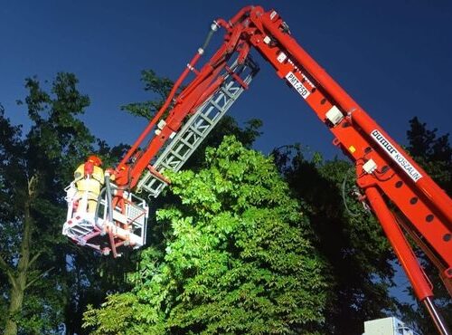 29 interwencji straży pożarnej w powiecie rawskim. Strażacy usuwali skutki wichury